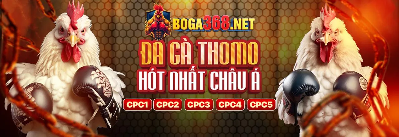 Đội ngũ hỗ trợ khách hàng daga thomo chuyên nghiệp