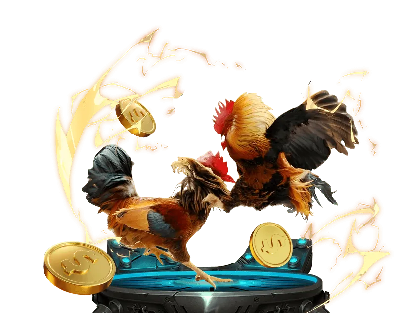 Chứng Nhận Daga Thomo